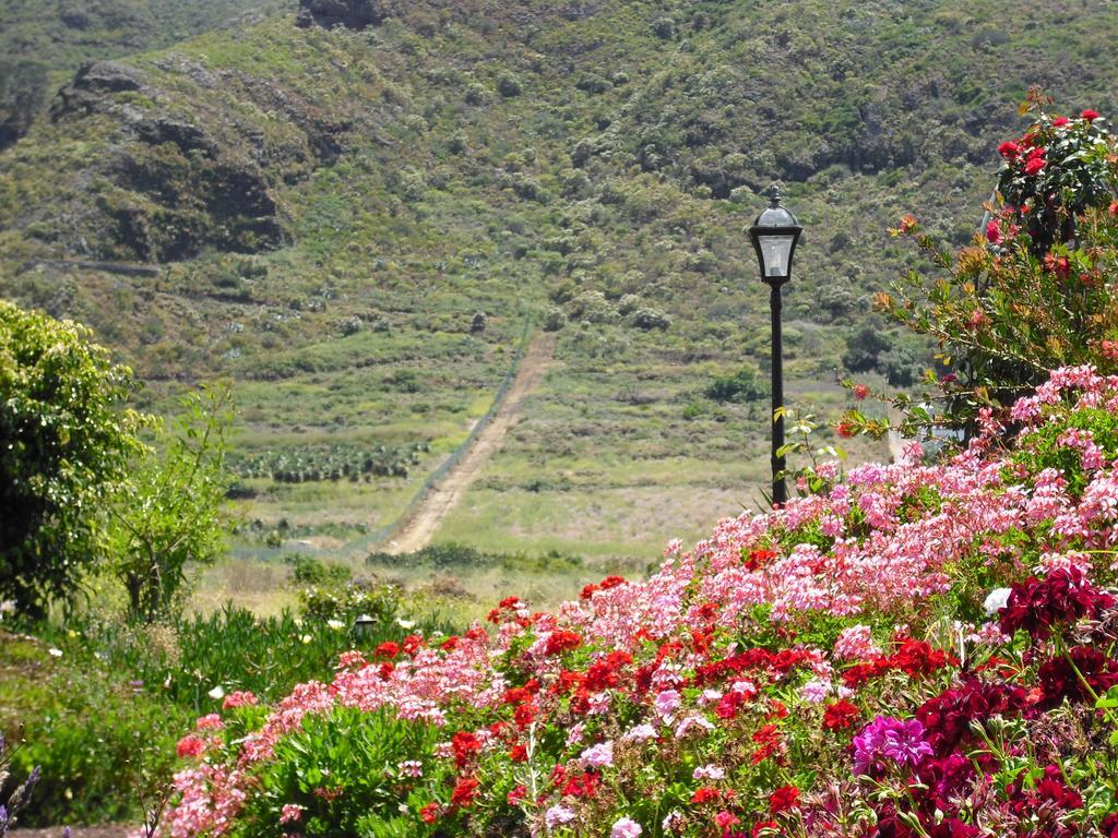 Finca El Picacho Apartments In The Countryside 2 Km From The Beach 蒂约那 客房 照片