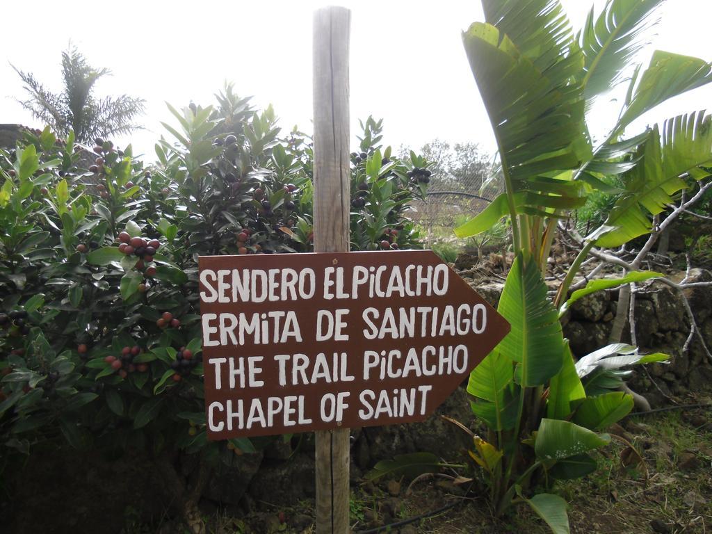Finca El Picacho Apartments In The Countryside 2 Km From The Beach 蒂约那 客房 照片