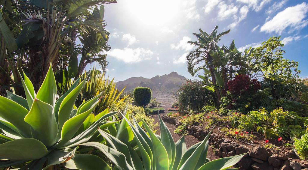 Finca El Picacho Apartments In The Countryside 2 Km From The Beach 蒂约那 客房 照片